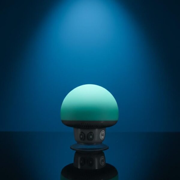 WhatsApp Image 2025 11 17 at 3.31.19 PM 1 |