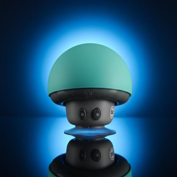 Mini Wireless Speaker